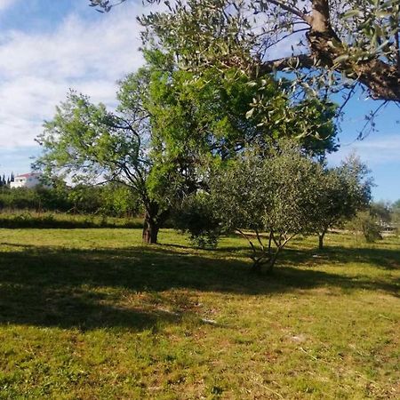 S&M Camping Sveti Filip i Jakov Luaran gambar