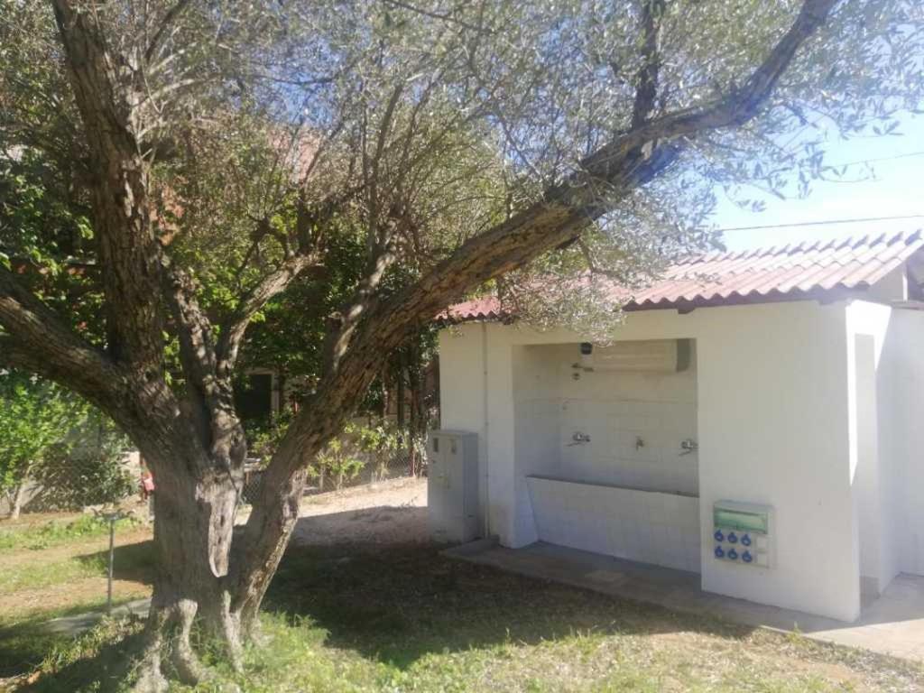 S&M Camping Sveti Filip i Jakov Luaran gambar