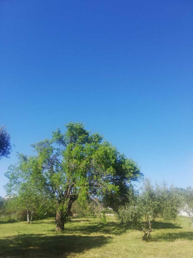 S&M Camping Sveti Filip i Jakov Luaran gambar