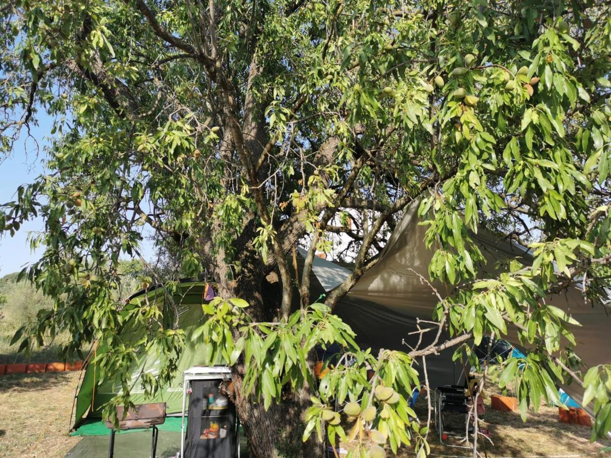 S&M Camping Sveti Filip i Jakov Luaran gambar